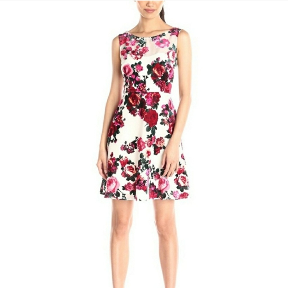 Betsey Johnson Skater Dress w/ Velvet Rose Accents